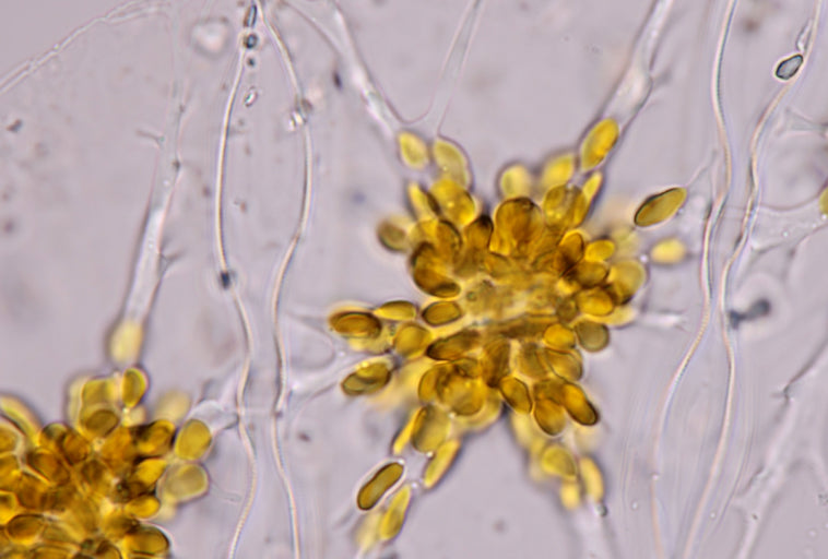 What Engineers See When They Look at Beauty Tech